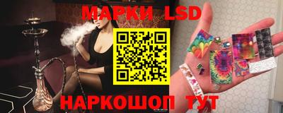 сатива Кинель