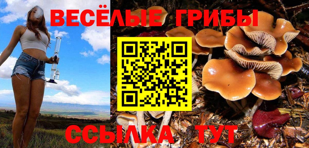 Кохма  купить   Вход с VPN  Псилоцибиновые грибы Magic Shrooms 