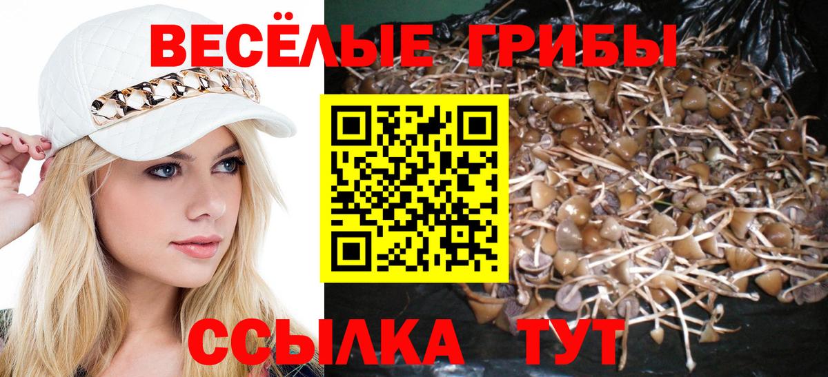 Псилоцибиновые грибы Magic Shrooms Кохма